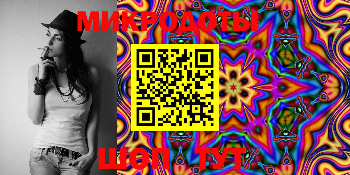 Псилоцибиновые грибы Psilocybine cubensis Павлово