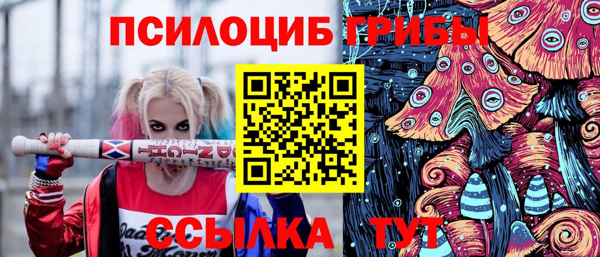 Псилоцибиновые грибы прущие грибы  Псилоцибиновые грибы Psilocybine cubensis  Павлово 